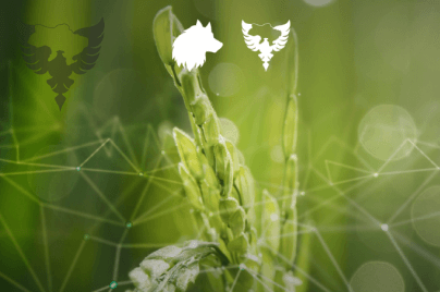 Effective protection of agro-industrial complex enterprises