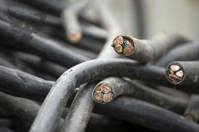 "Cable" repeat offender thief